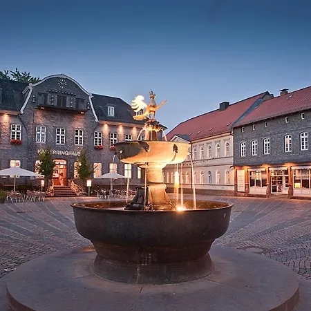 Fewo Goslar Harz Eksteriør billede