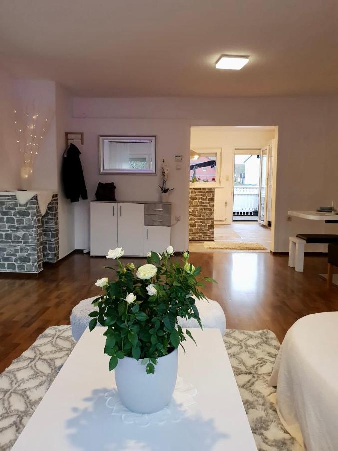 Apartment Harz *
